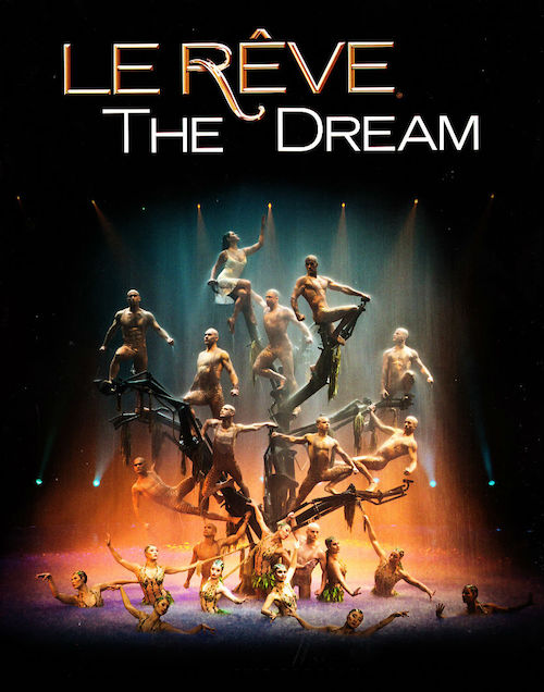 Dream orchestra. Reve певица. Картина la rêve (the Dream). Постер шоу DUSOLEIL. Компания le rêve.